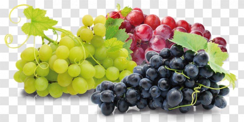 Nutrient Dietary Fiber Supplement Food Grape Transparent PNG