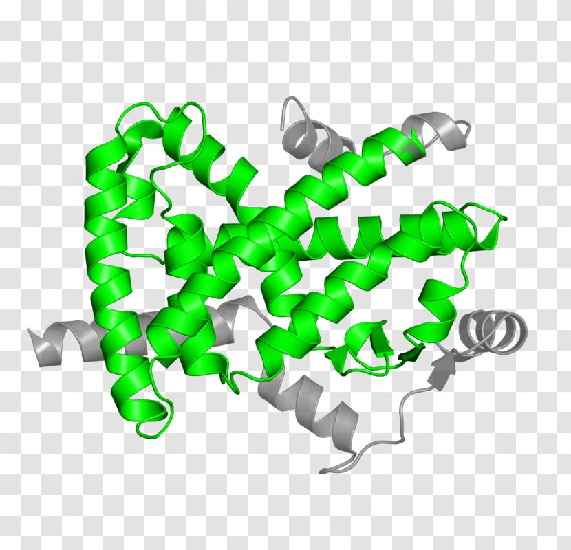 Steroid Hormone Receptor Ligand - Green Transparent PNG