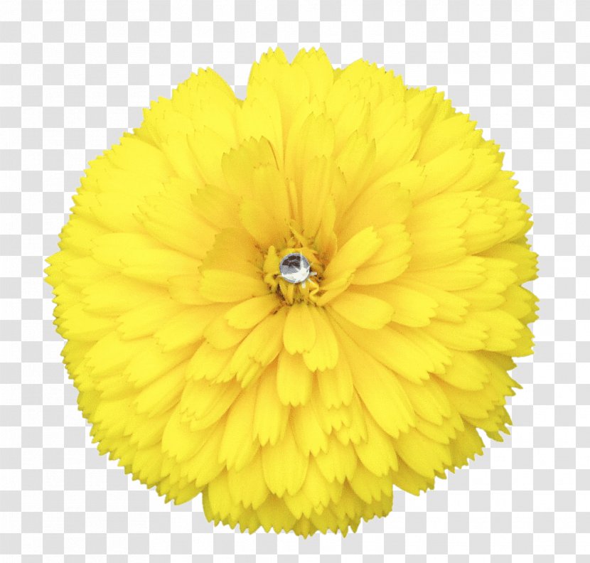 Flower Yellow Hat Clip Art - Coif Transparent PNG