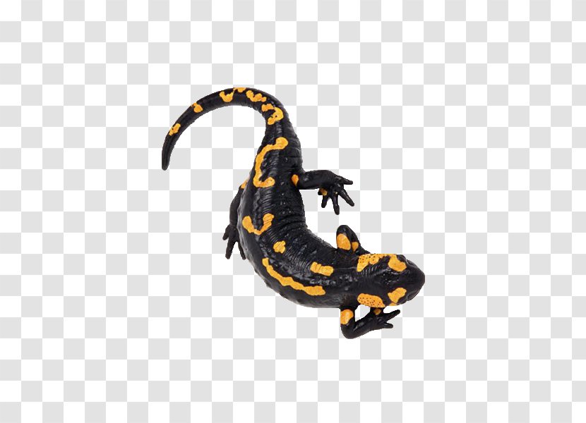 Fire Salamander Icon - Salamanders In Folklore And Legend - We Are Creative Lizard Image Transparent PNG