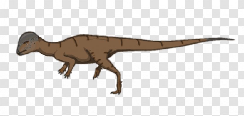 Velociraptor Dinosaur Park Formation Oldman Belly River Group Hanssuesia - Genus Transparent PNG
