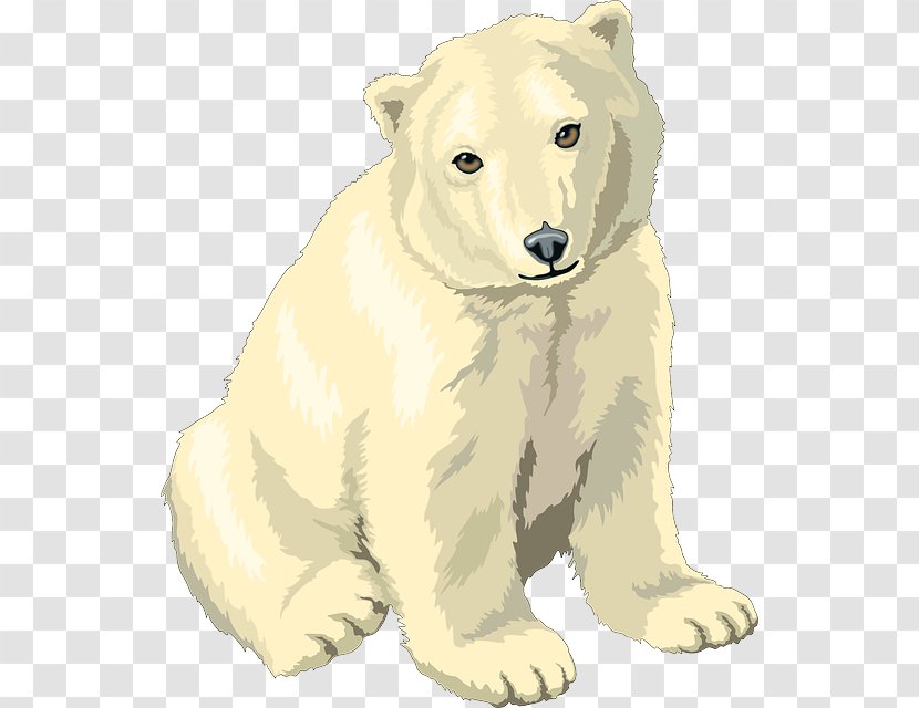 Polar Bear, What Do You Hear? Clip Art - Organism - White Bear Transparent PNG