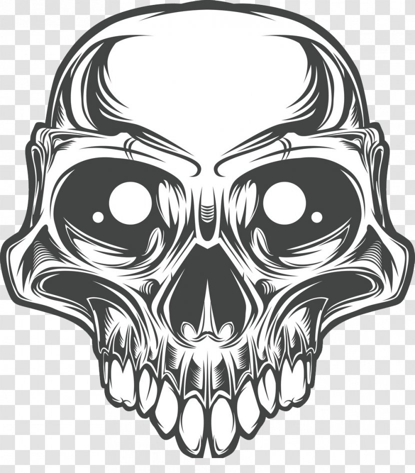 Skull Bone Transparent PNG