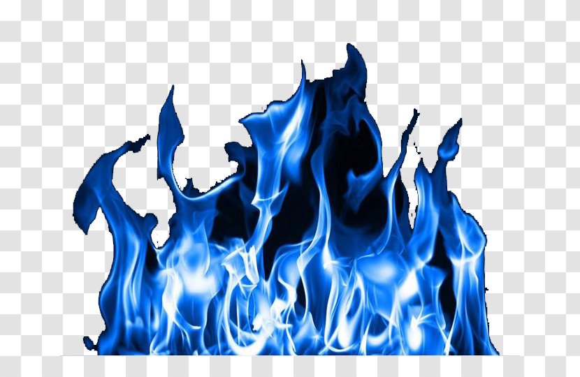 Cool Flame Fire Wallpaper - Flower - Blue,fire Transparent PNG