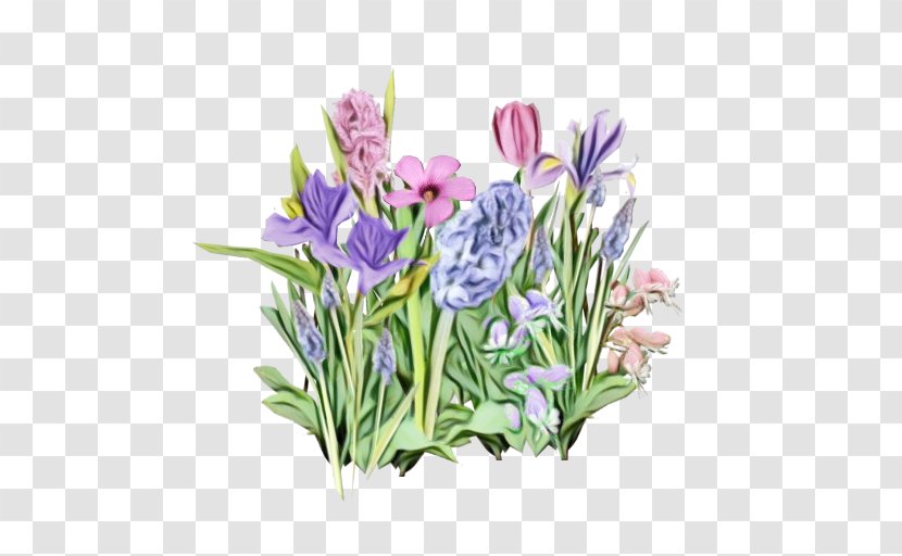 Flower Flowering Plant Violet Tulip - Paint - Crocus Petal Transparent PNG