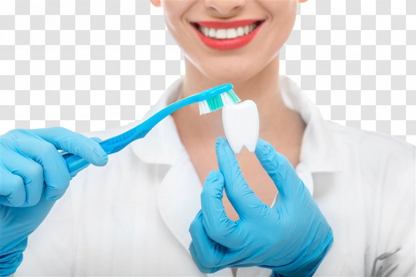 Hygiene Dentistry Human Mouth Tooth Brushing - Service - Smiling Beauty Holding A Toothbrush Transparent PNG