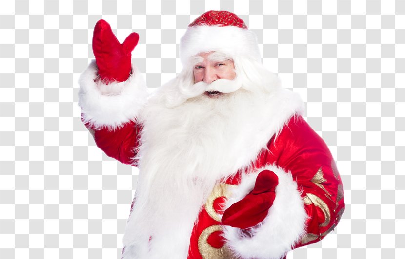 Ded Moroz Snegurochka Grandfather Santa Claus Ziuzia - Holiday Transparent PNG