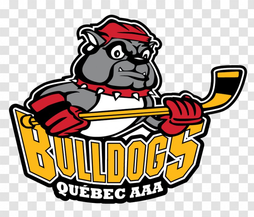 Quebec Bulldogs City Edmonton Oilers Ice Hockey - Ligue Midget Aaa - French Bulldog Transparent PNG
