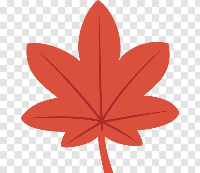Maple Leaf - Woody Plant - Flowering Petal Transparent PNG