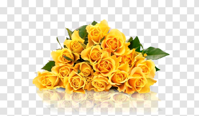 Garden Roses Yellow Stock Photography - Cut Flowers - Rose Transparent PNG