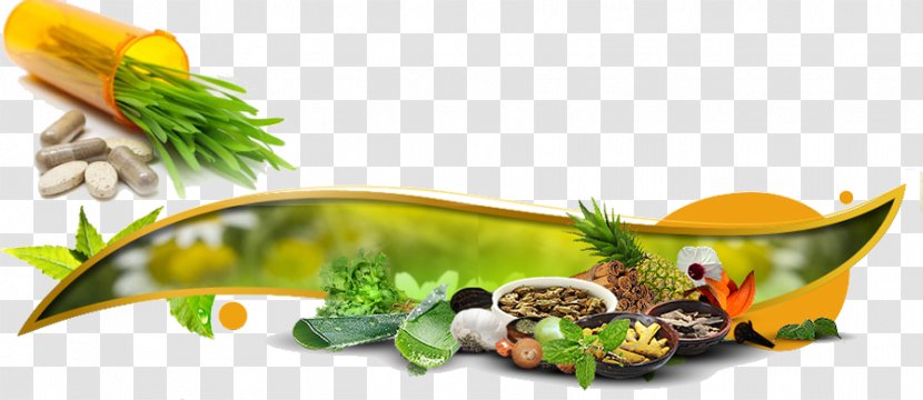 Herb Business Pharmaceutical Drug Manufacturing India - Tree - Garnish Transparent PNG