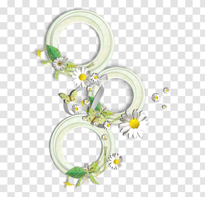 Download Preview - Internet - Common Daisy Transparent PNG