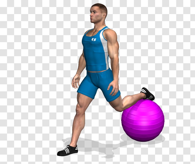 Physical Fitness Exercise Balls Squat Quadriceps Femoris Muscle Dumbbell - Heart Transparent PNG