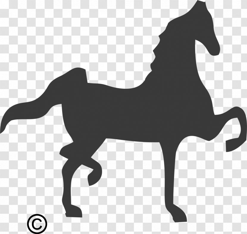 Mustang Spotted Saddle Horse American Saddlebred South Africa Percheron - Colt Transparent PNG
