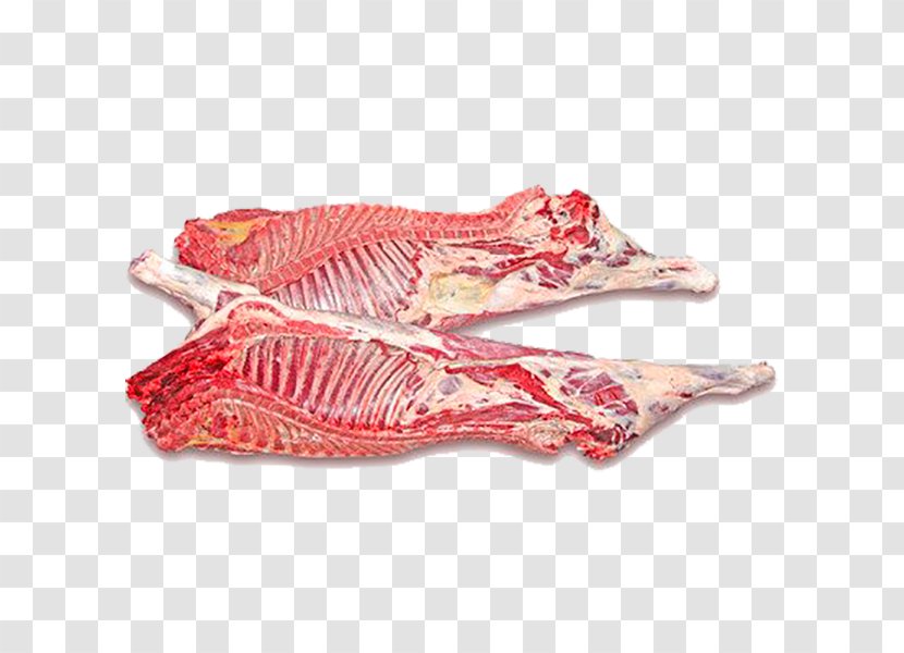 Lamb And Mutton Beef Meat Pork Animal Slaughter - Tree Transparent PNG