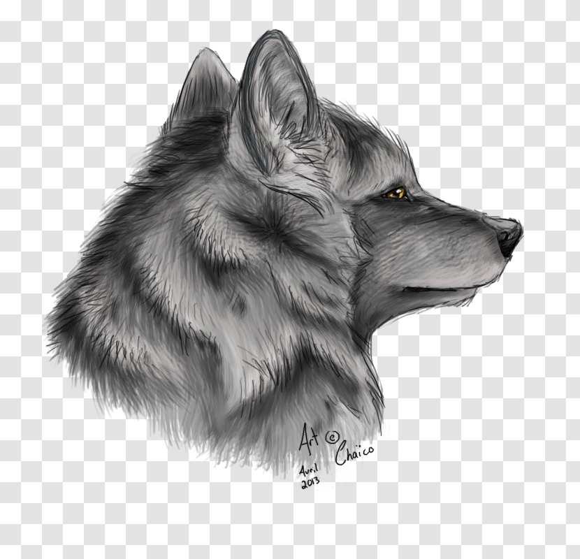 Drawing Pencil Dog Red Fox Sketch - Nose Transparent PNG