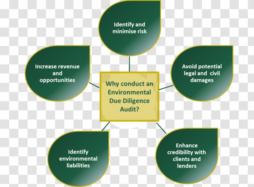 Due Diligence Environmental Audit Organization Natural Environment Transparent PNG