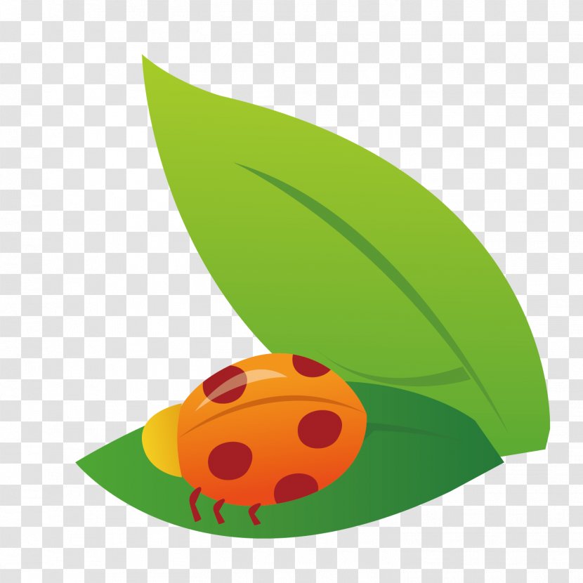 Green Leaf Seven Star Ladybug Vector Decoration - Beneficial Insects - Coccinella Septempunctata Transparent PNG