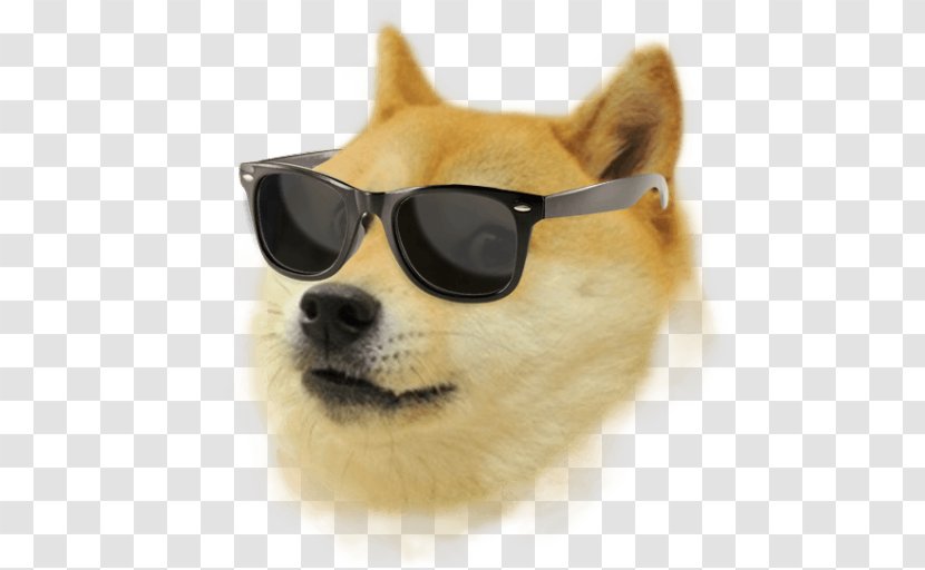 Doge Weather Run Android Download - Dog Breed Group - Coin Transparent PNG