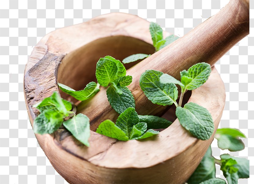 Herbalism Spice Nutritionist - Recipe Transparent PNG