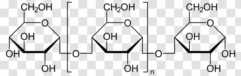 Disaccharide Maltose Monosaccharide Polysaccharide Dextrin - Watercolor - Frame Transparent PNG