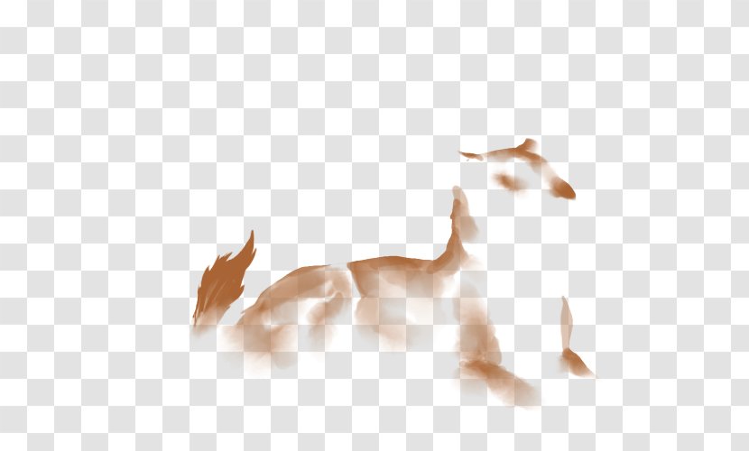 Cat Dog Canidae Paw Tail Transparent PNG