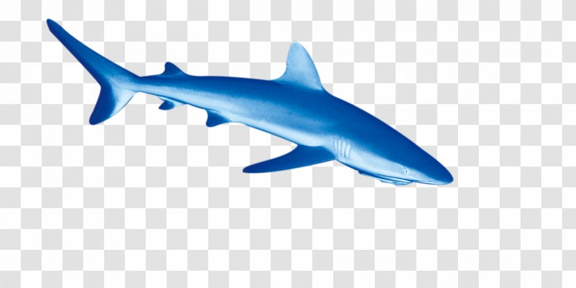 Tiger Shark Deep Sea Fish Euclidean Vector - Dolphin Transparent PNG