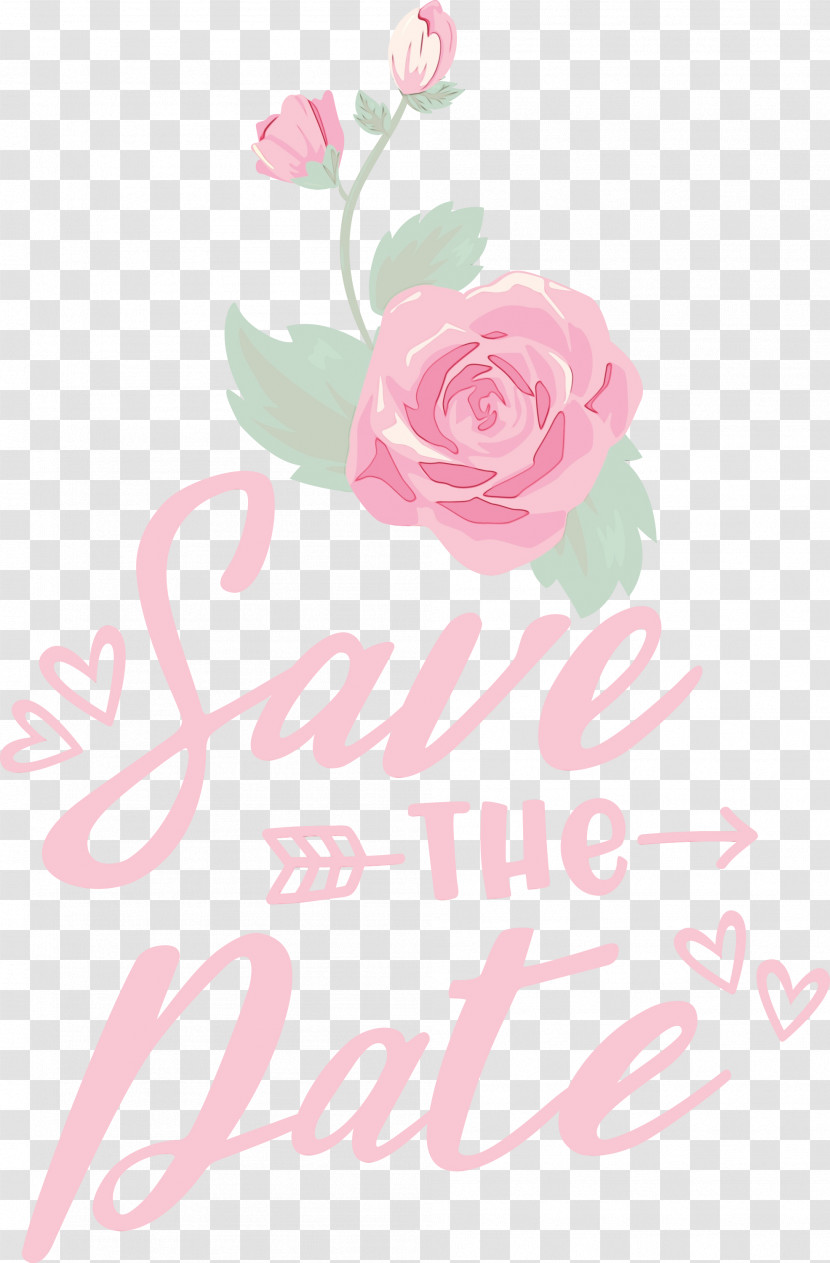 Floral Design Transparent PNG