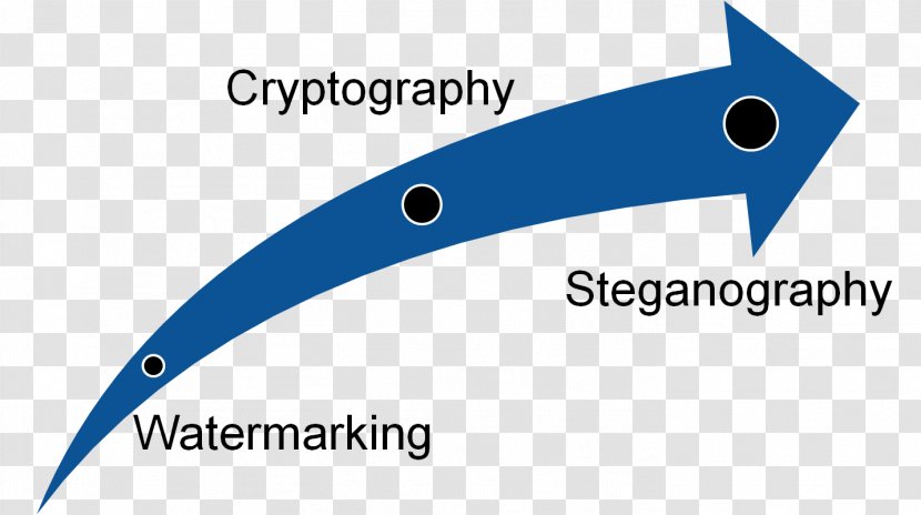 Steganography Encryption Information Computer Forensics Security Transparent PNG