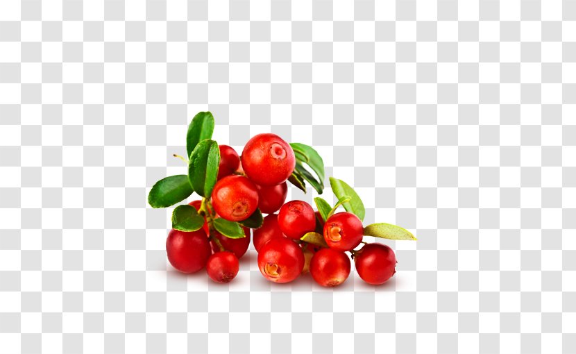 Cranberry Food Fruit Vaccinium Macrocarpon Cream - Antiaging - Strawberry Tree Transparent PNG
