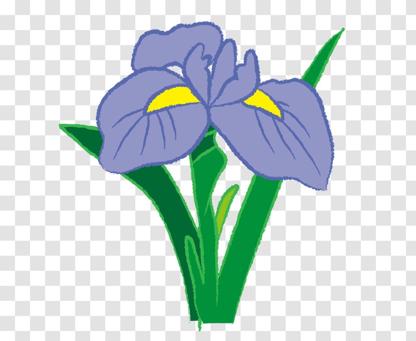 Irises Clip Art Illustration Image Openclipart - Plant - Abby Transparent PNG