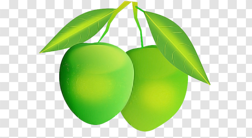 Mango Transparent PNG