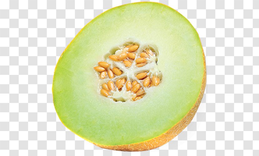Honeydew Cantaloupe Galia Melon Watermelon Transparent PNG