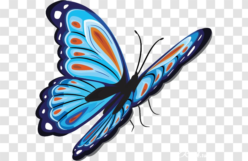 Butterfly Clip Art - Ulysses Transparent PNG