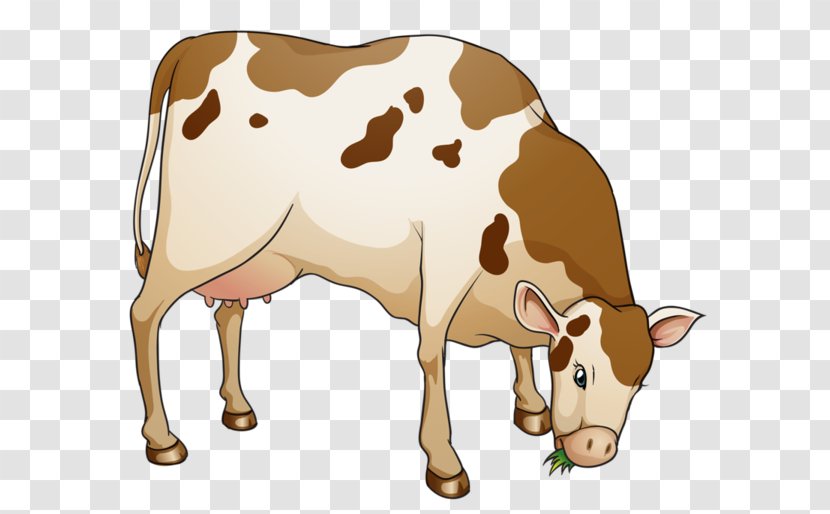 Dairy Cattle Grazing Clip Art - Bulls And Cows - Royaltyfree Transparent PNG