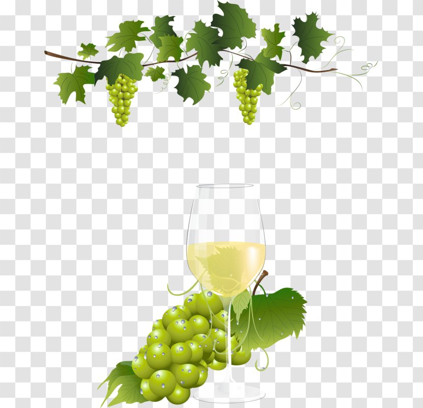 Grape Vine Wine Clip Art - Common Transparent PNG