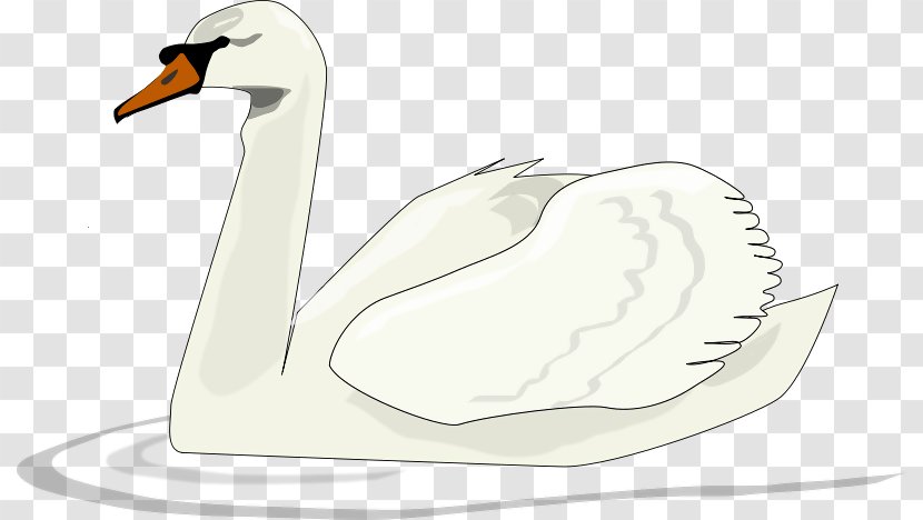 Black Swan Lake Clip Art - Cartoon Transparent PNG