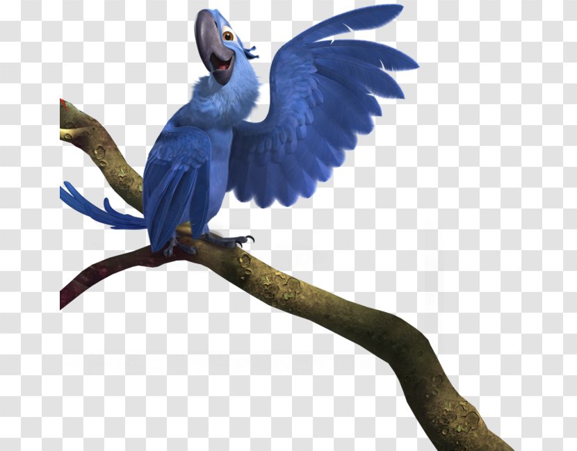 Blu Rio Clip Art - Wing - Parrot Transparent PNG