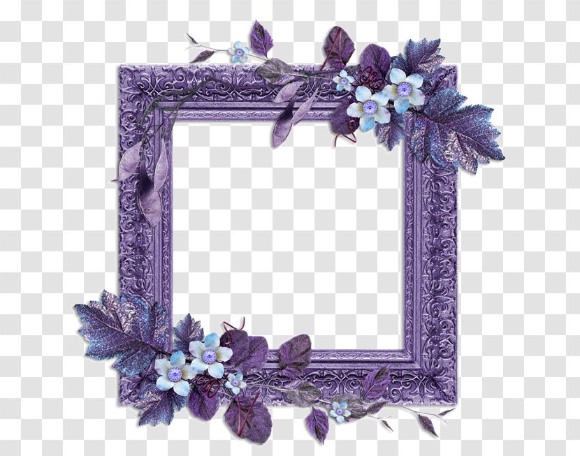 Picture Frames Photography Drawing - Lilac - FGO Transparent PNG