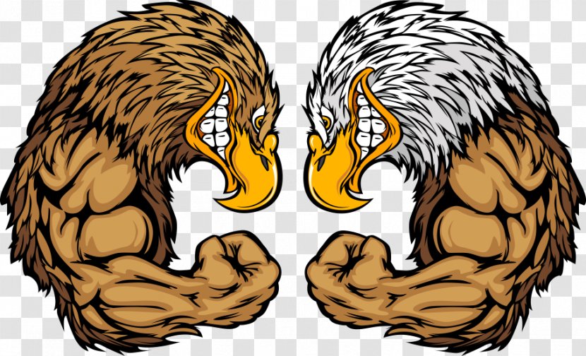 Bald Eagle Golden Cartoon - Photography - Vector Muscle Transparent PNG