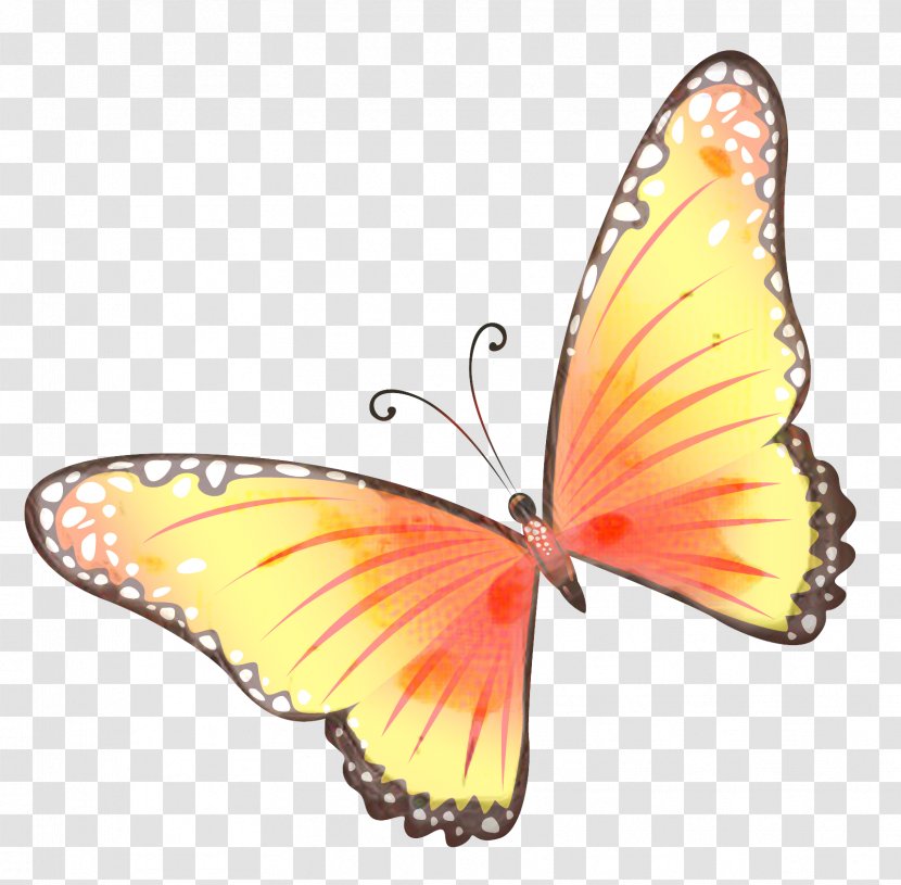 Monarch Butterfly - Wildlife - Wing Transparent PNG