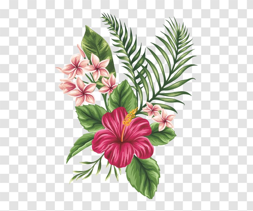 Drawing Flower Sketch - Tropics - Hand-painted Flowers Transparent PNG