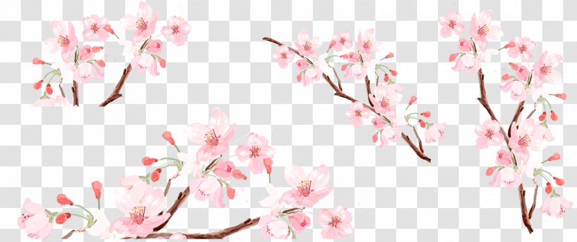 Peach Download - Flower Arranging - Fresh And Beautiful Blossom Collection Transparent PNG