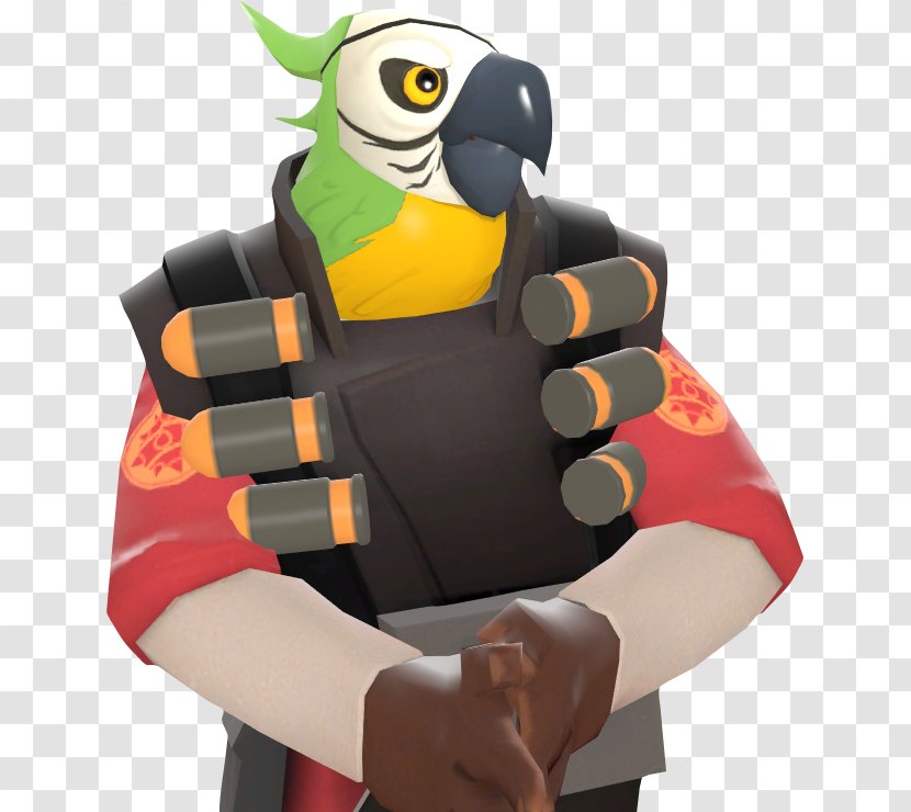 Macaw Parrot Beak Toucan Team Fortress 2 Transparent PNG