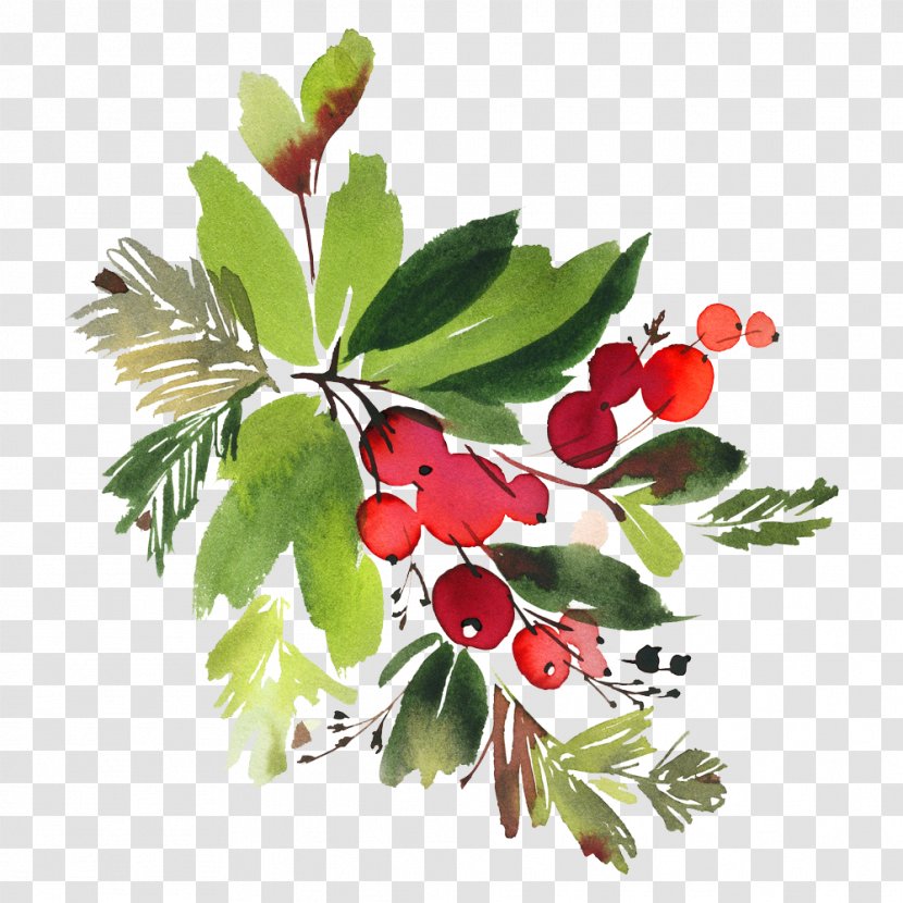 Watercolour Flowers Floral Design Watercolor Painting Clip Art - Fruit - Christmas Transparent PNG