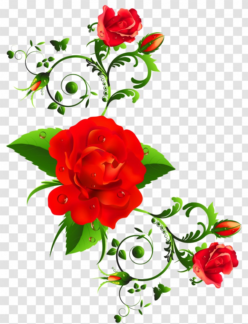 International Women's Day Wish Happiness Greeting Card - Plant - Red Roses Decor Clipart Transparent PNG