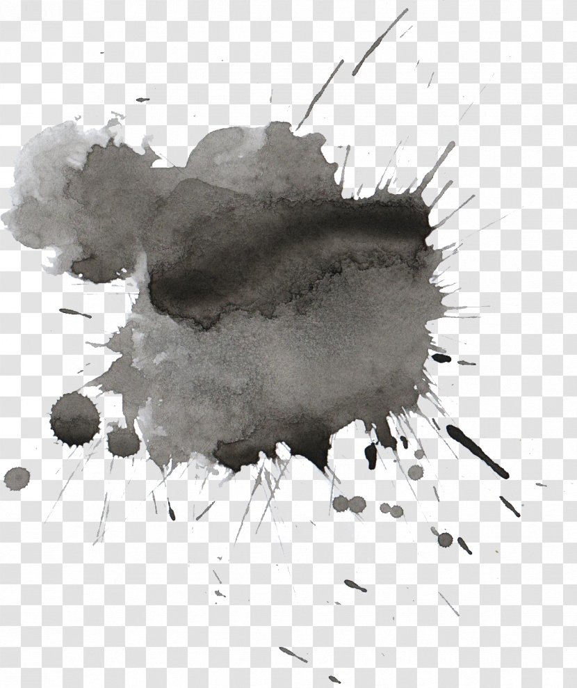 Watercolor Painting Drawing Black And White Ink - Photography - Watercolour Transparent PNG
