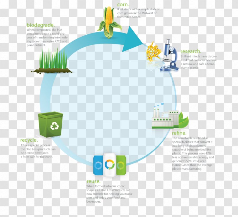 Polylactic Acid Biodegradation Polycaprolactone Compost - Biodegradable Beverage Containers Transparent PNG