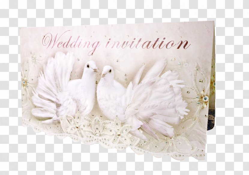 Paper Greeting & Note Cards Picture Frames Rectangle - White Dove Transparent PNG