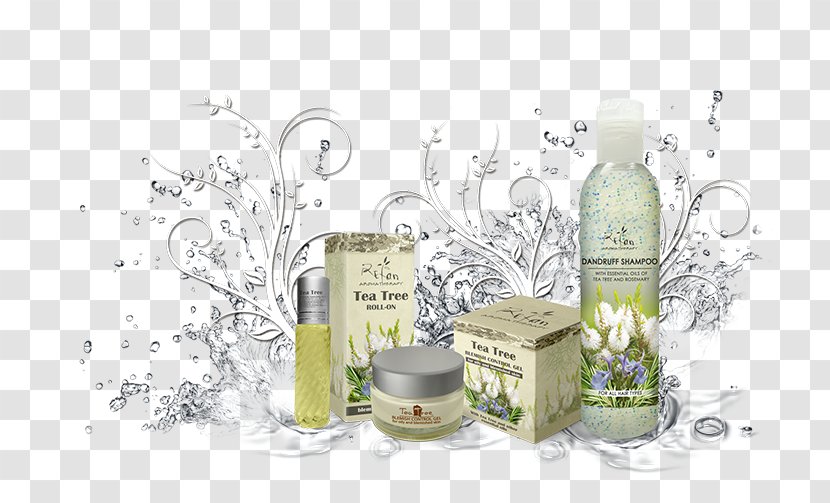 Tea Tree Oil Perfume Cosmetics Refan Bulgaria Ltd. - Plant Transparent PNG